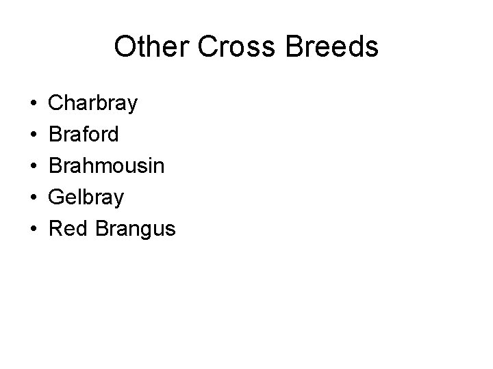 Other Cross Breeds • • • Charbray Braford Brahmousin Gelbray Red Brangus 