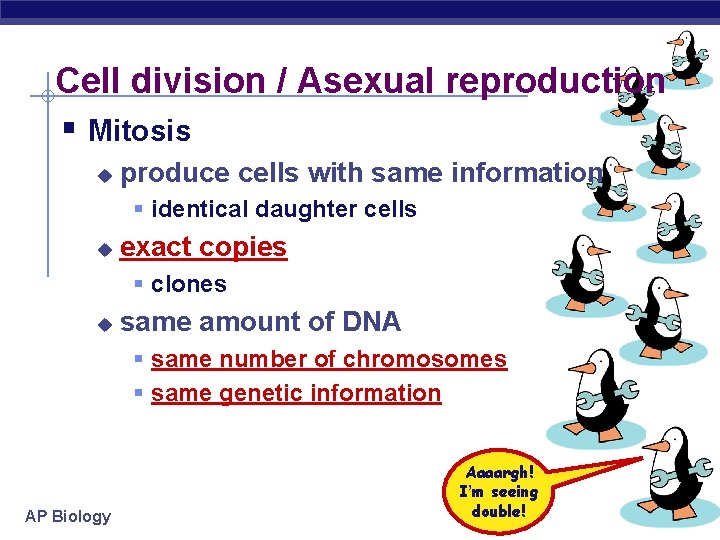 Cell division / Asexual reproduction § Mitosis u produce cells with same information §