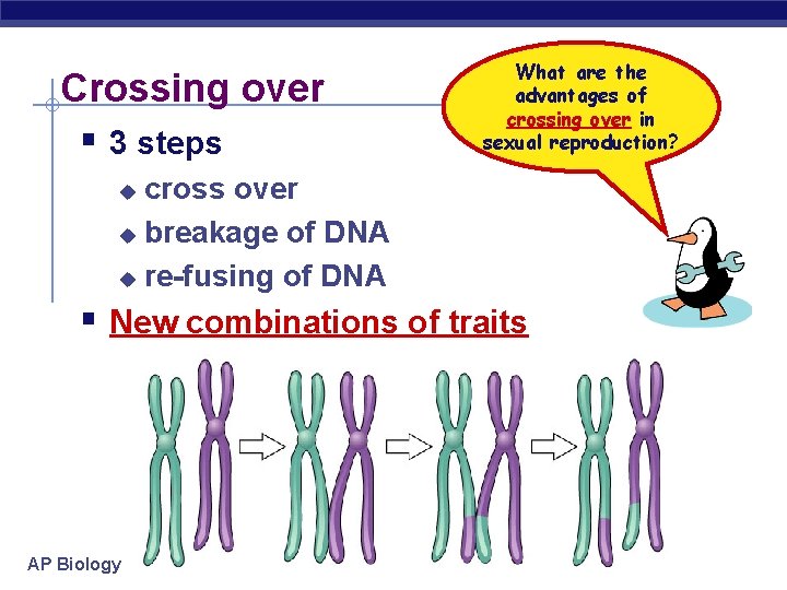 Crossing over § 3 steps What are the advantages of crossing over in sexual