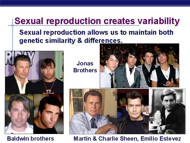 Sexual reproduction creates variability Sexual reproduction allows us to maintain both genetic similarity &