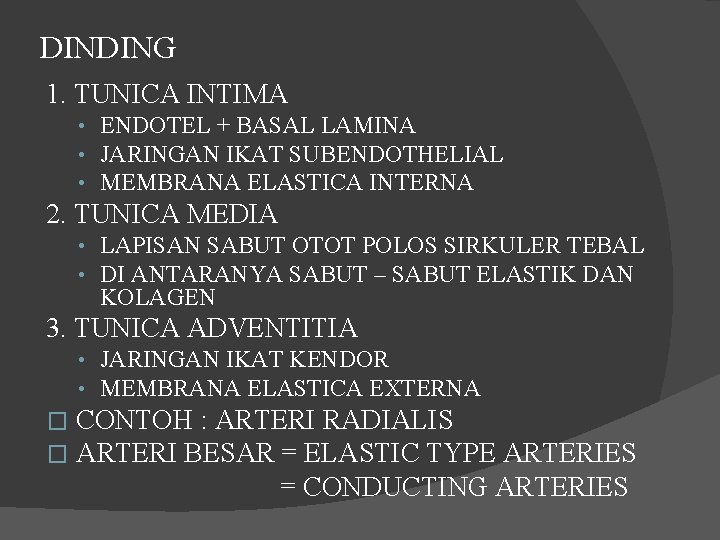 DINDING 1. TUNICA INTIMA • ENDOTEL + BASAL LAMINA • JARINGAN IKAT SUBENDOTHELIAL •