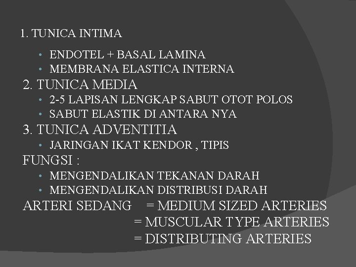 1. TUNICA INTIMA • ENDOTEL + BASAL LAMINA • MEMBRANA ELASTICA INTERNA 2. TUNICA