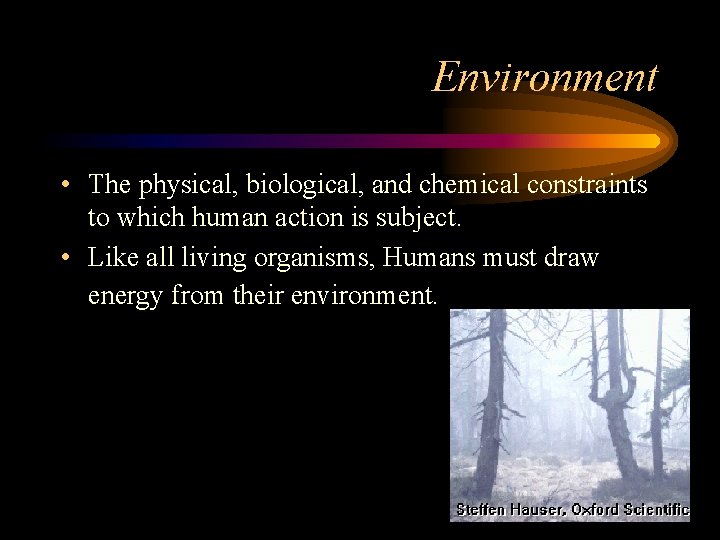 Environment • The physical, biological, and chemical constraints to which human action is subject.