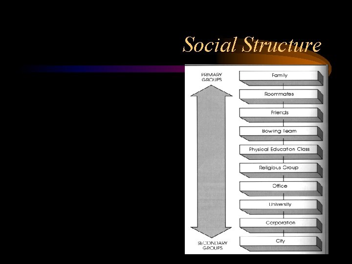 Social Structure 