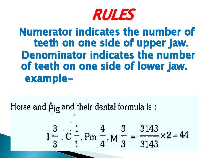 RULES Numerator indicates the number of teeth on one side of upper jaw. Denominator RULES Numerator indicates the number of teeth on one side of upper jaw. Denominator