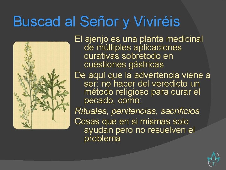 Buscad al Señor y Viviréis El ajenjo es una planta medicinal de múltiples aplicaciones