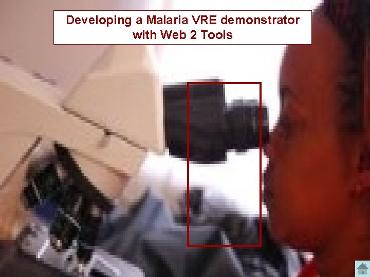Developing a Malaria VRE demonstrator with Web 2 Tools 