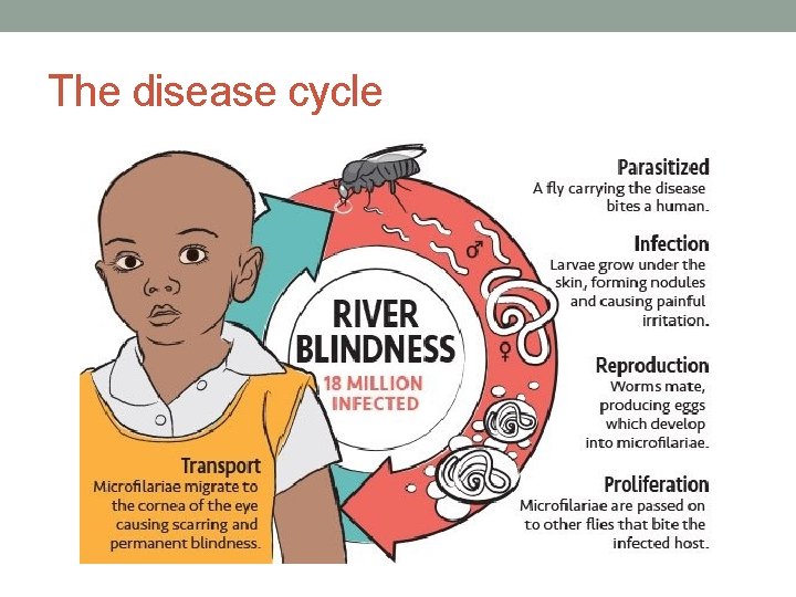 The disease cycle 