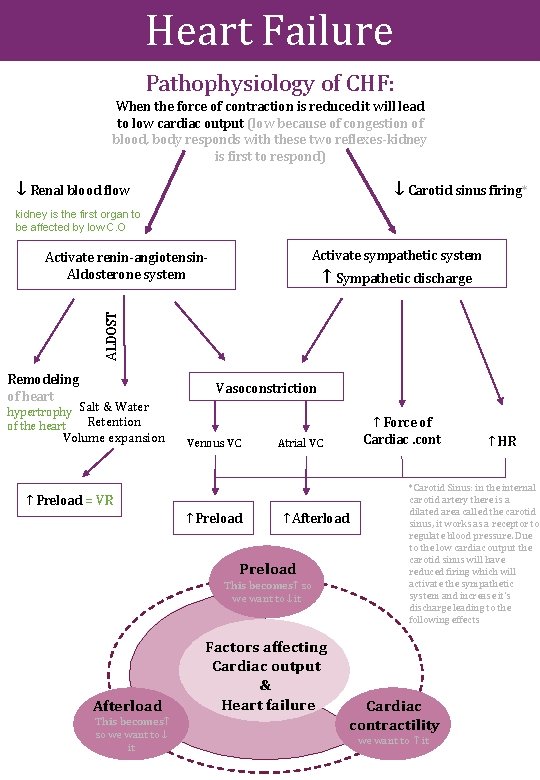 Heart Failure Pathophysiology of CHF: When the force of contraction is reduced it will