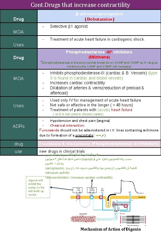 Cont. Drugs that increase contractility β-adrenoceptoragonist (Dobutamine) Drug - Selective β 1 agonist -