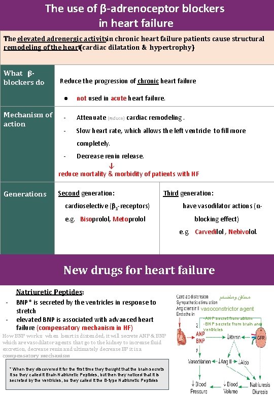The use of β-adrenoceptor blockers in heart failure The elevated adrenergic activityin chronic heart