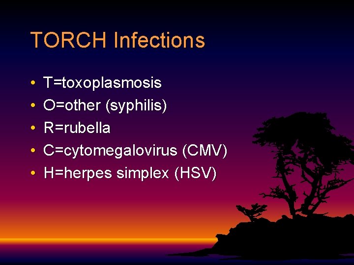 TORCH Infections • • • T=toxoplasmosis O=other (syphilis) R=rubella C=cytomegalovirus (CMV) H=herpes simplex (HSV)
