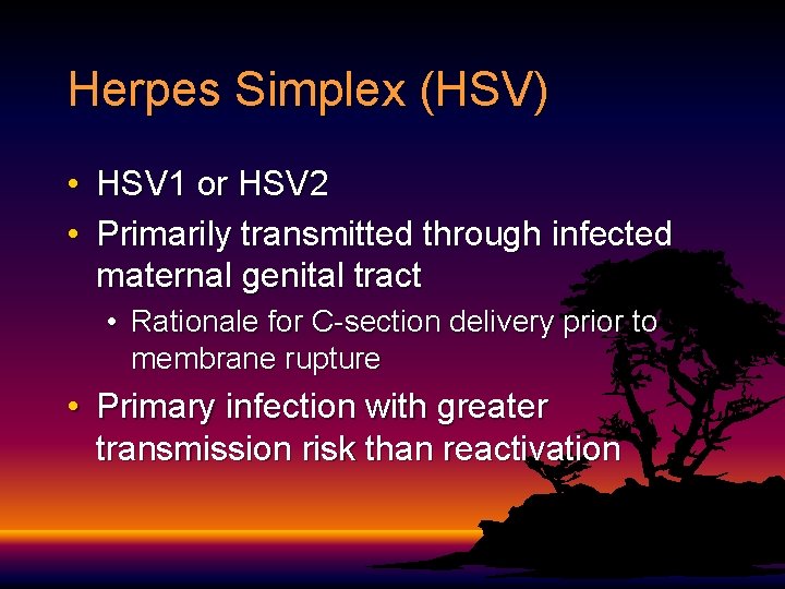 Herpes Simplex (HSV) • HSV 1 or HSV 2 • Primarily transmitted through infected