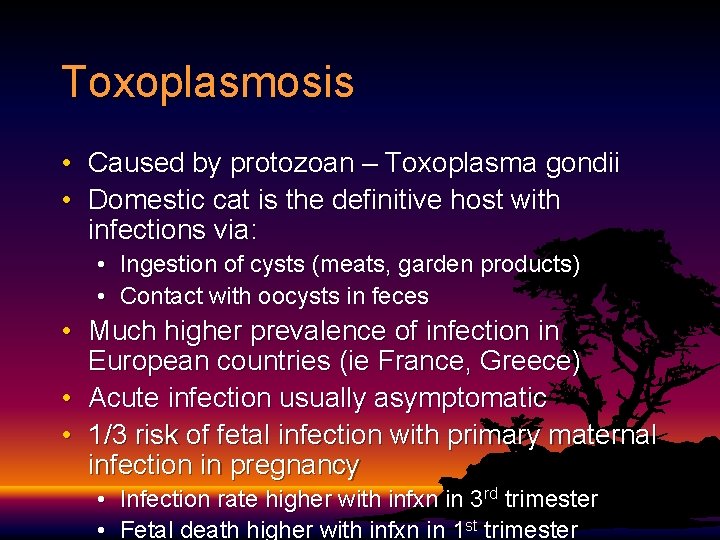Toxoplasmosis • Caused by protozoan – Toxoplasma gondii • Domestic cat is the definitive