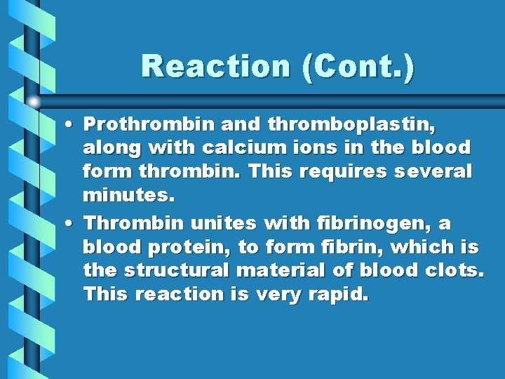 Reaction (Cont. ) • Prothrombin and thromboplastin, along with calcium ions in the blood