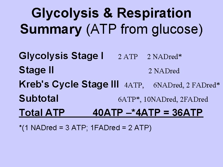 Glycolysis & Respiration Summary (ATP from glucose) Glycolysis Stage I 2 ATP 2 NADred*