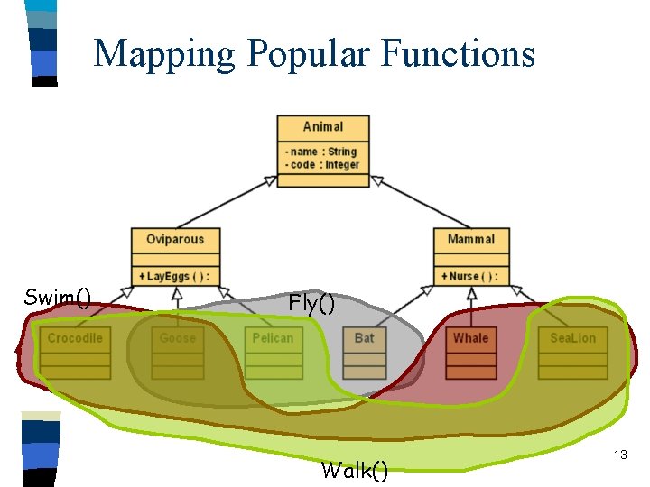 Mapping Popular Functions Swim() Fly() Walk() 13 