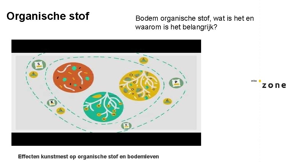 Organische stof Bodem organische stof, wat is het en waarom is het belangrijk? Effecten