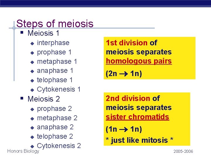 Steps of meiosis § Meiosis 1 u u u interphase prophase 1 metaphase 1 Steps of meiosis § Meiosis 1 u u u interphase prophase 1 metaphase 1