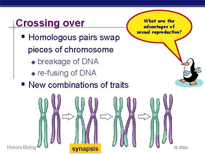 Crossing over § Homologous pairs swap What are the advantages of sexual reproduction? pieces Crossing over § Homologous pairs swap What are the advantages of sexual reproduction? pieces