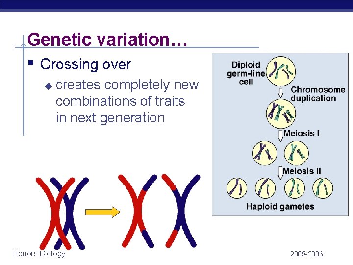 Genetic variation… § Crossing over u creates completely new combinations of traits in next Genetic variation… § Crossing over u creates completely new combinations of traits in next