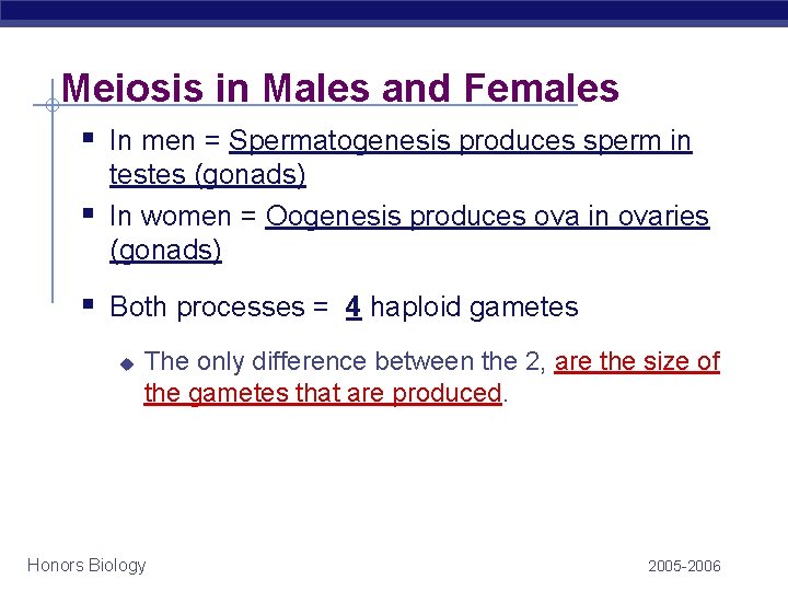 Meiosis in Males and Females § In men = Spermatogenesis produces sperm in § Meiosis in Males and Females § In men = Spermatogenesis produces sperm in §