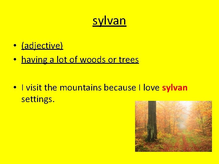 sylvan • (adjective) • having a lot of woods or trees • I visit