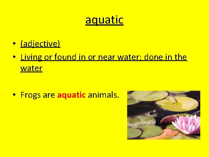 aquatic • (adjective) • Living or found in or near water; done in the