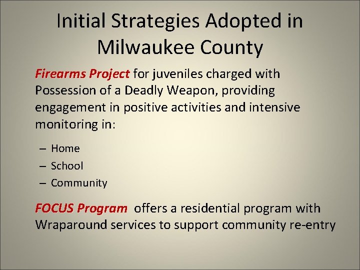 Initial Strategies Adopted in Milwaukee County Firearms Project for juveniles charged with Possession of