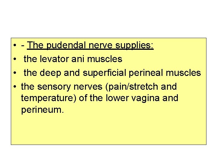  • • - The pudendal nerve supplies: the levator ani muscles the deep