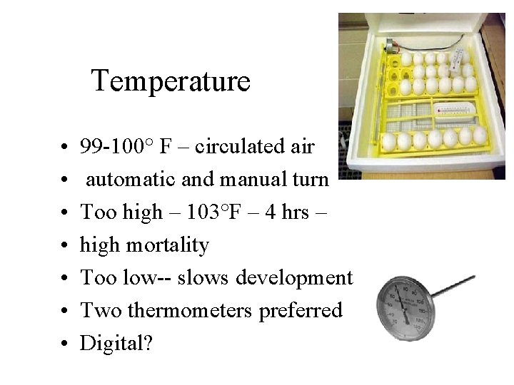 Temperature • • 99 -100° F – circulated air automatic and manual turn Too