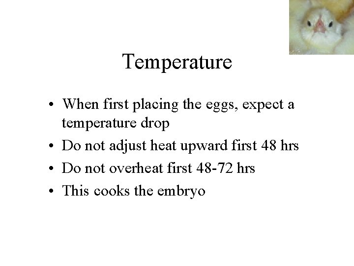 Temperature • When first placing the eggs, expect a temperature drop • Do not