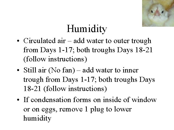 Humidity • Circulated air – add water to outer trough from Days 1 -17;