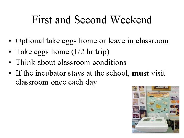 First and Second Weekend • • Optional take eggs home or leave in classroom