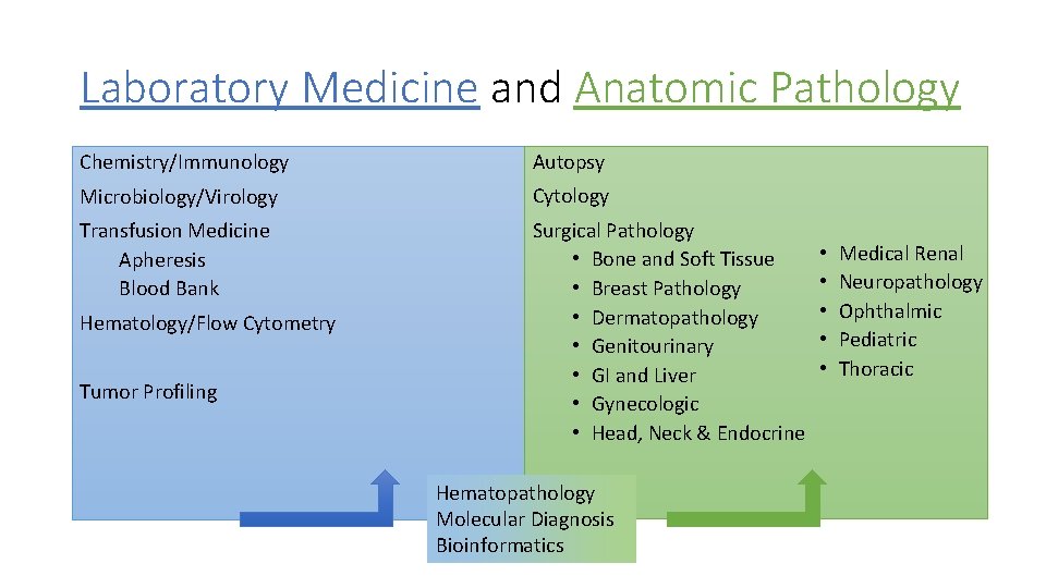 Laboratory Medicine and Anatomic Pathology Chemistry/Immunology Autopsy Microbiology/Virology Cytology Transfusion Medicine Apheresis Blood Bank