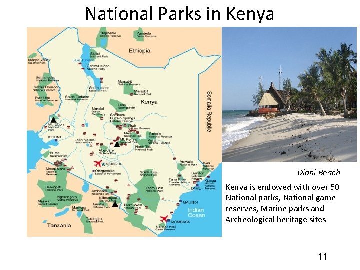 National Parks in Kenya Diani Beach Kenya is endowed with over 50 National parks,