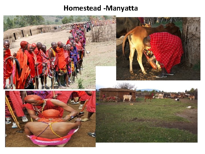 Homestead -Manyatta 