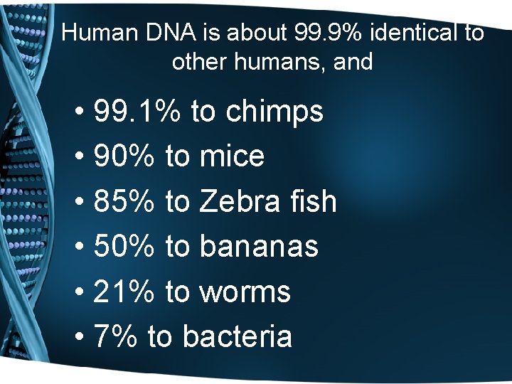 Human DNA is about 99. 9% identical to other humans, and • 99. 1%