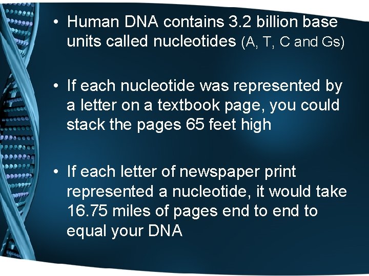  • Human DNA contains 3. 2 billion base units called nucleotides (A, T,