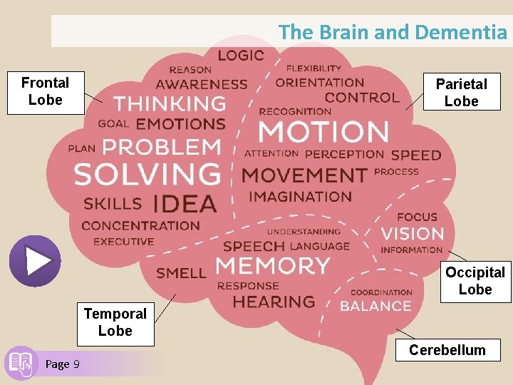 The Brain and Dementia Frontal Lobe Parietal Lobe Occipital Lobe Temporal Lobe Page 9