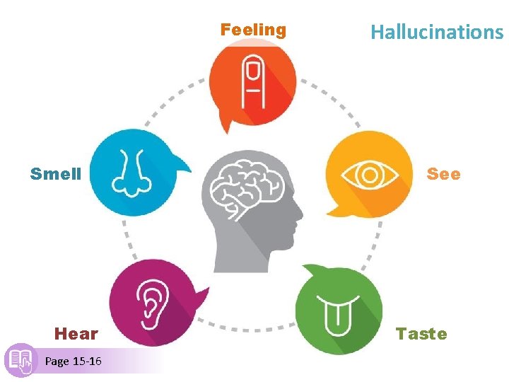 Feeling Smell Hear Page 15 -16 Hallucinations See Taste 