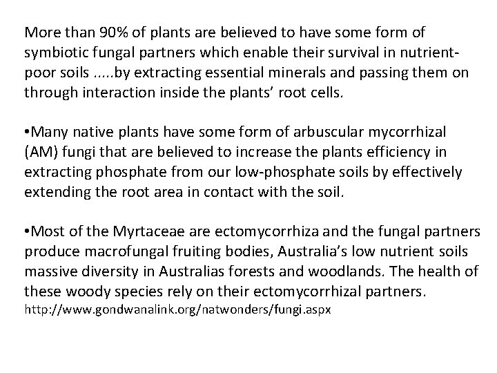 More than 90% of plants are believed to have some form of symbiotic fungal