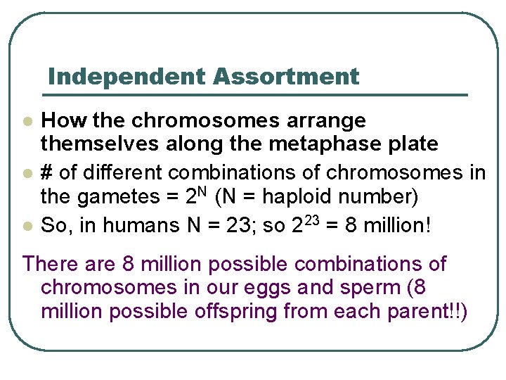 Independent Assortment l l l How the chromosomes arrange themselves along the metaphase plate
