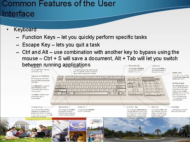 Common Features of the User Interface • Keyboard – Function Keys – let you