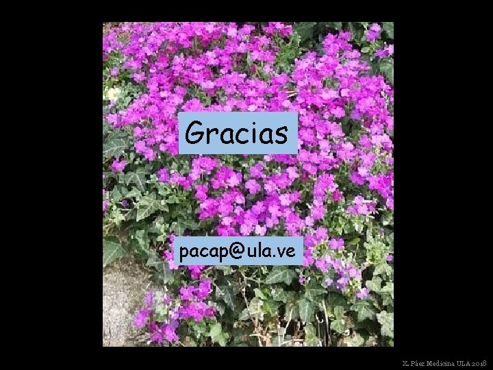 Gracias pacap@ula. ve X. Páez Medicina ULA 2018 