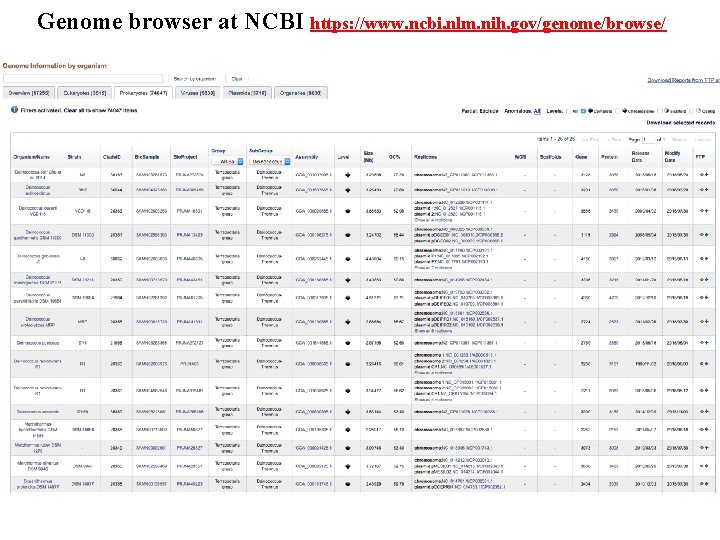 Genome browser at NCBI https: //www. ncbi. nlm. nih. gov/genome/browse/ 