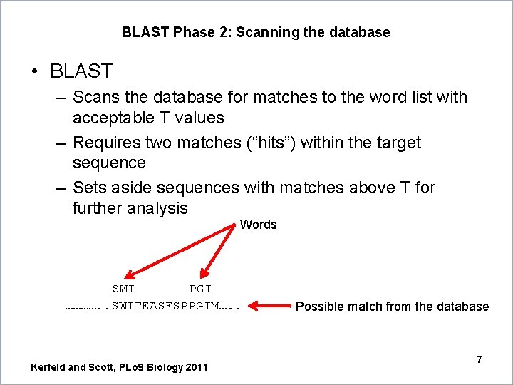 BLAST Phase 2: Scanning the database • BLAST – Scans the database for matches