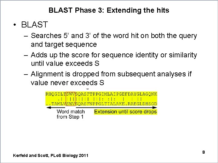BLAST Phase 3: Extending the hits • BLAST – Searches 5’ and 3’ of