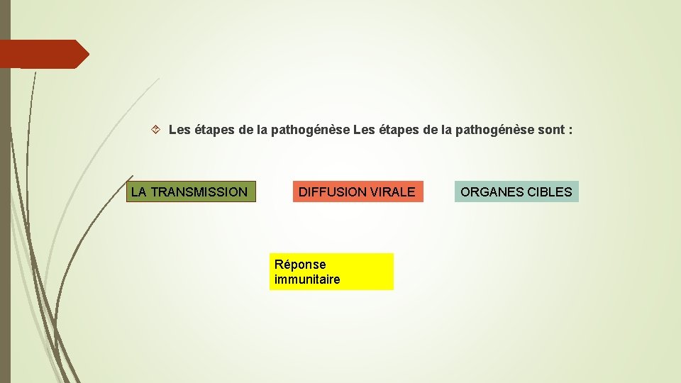  Les étapes de la pathogénèse sont : LA TRANSMISSION DIFFUSION VIRALE Réponse immunitaire