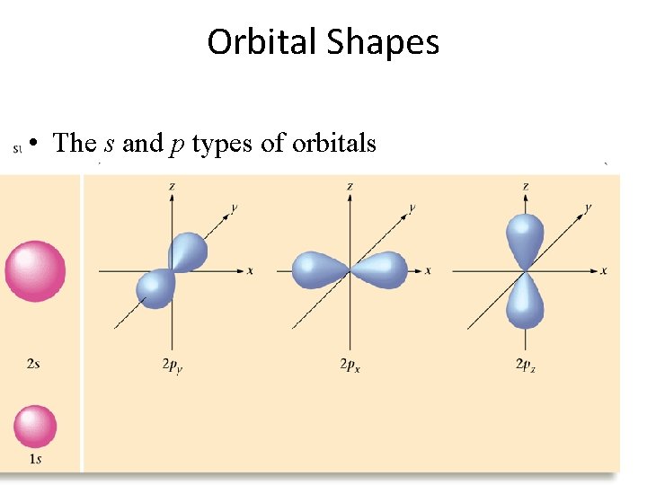 Orbital Shapes • The s and p types of orbitals 